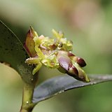 Costa Rica20150406-1728-1128